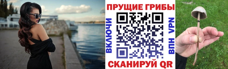 darknet формула Пущино Псилоцибиновые грибы GOLDEN TEACHER